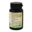 G.I. Support Chewable Tablets for Dogs & Cats Now foods Pets NOW