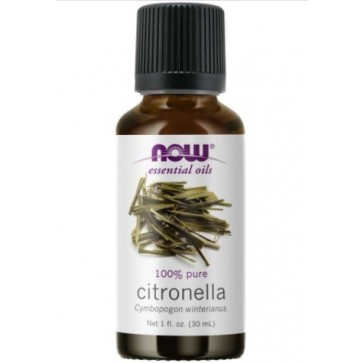 CITRONELLA OIL  1 OZ NOW Foods NOW Essential Oils