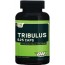 Tribulus Terrestris Optimum 