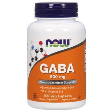 Gaba 500mg 100 caps NOW foods NOW