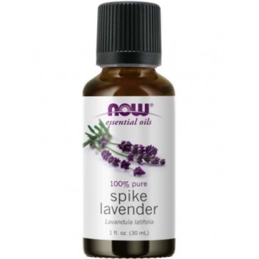 SPIKE LAVENDER OIL  1oz NOW Foods NOW Essential Oils