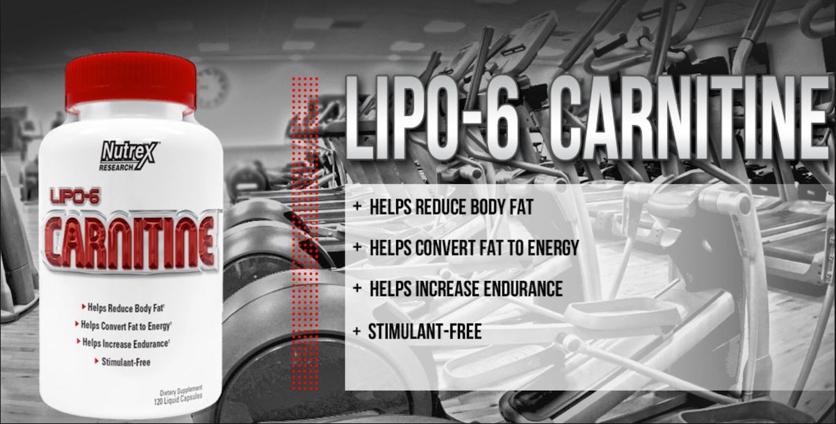 Lipo-6 Carnitine - Preço