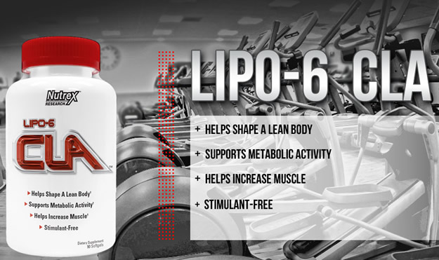 Lipo 6 CLA Banner